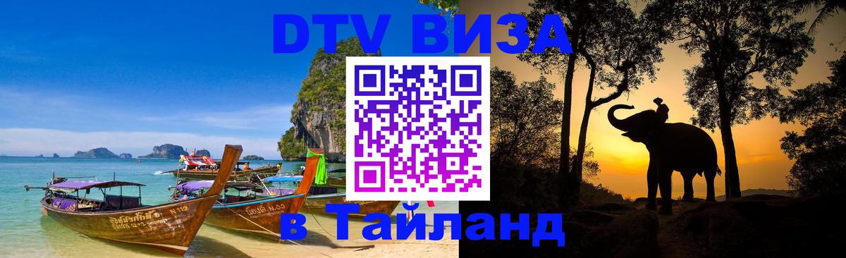 Сколько стоит DTV виза — актуальные цены, оформление даже без документов - 20.11.2025 